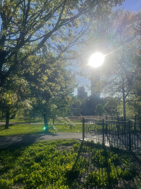 minneapolis is new york is europe is ...