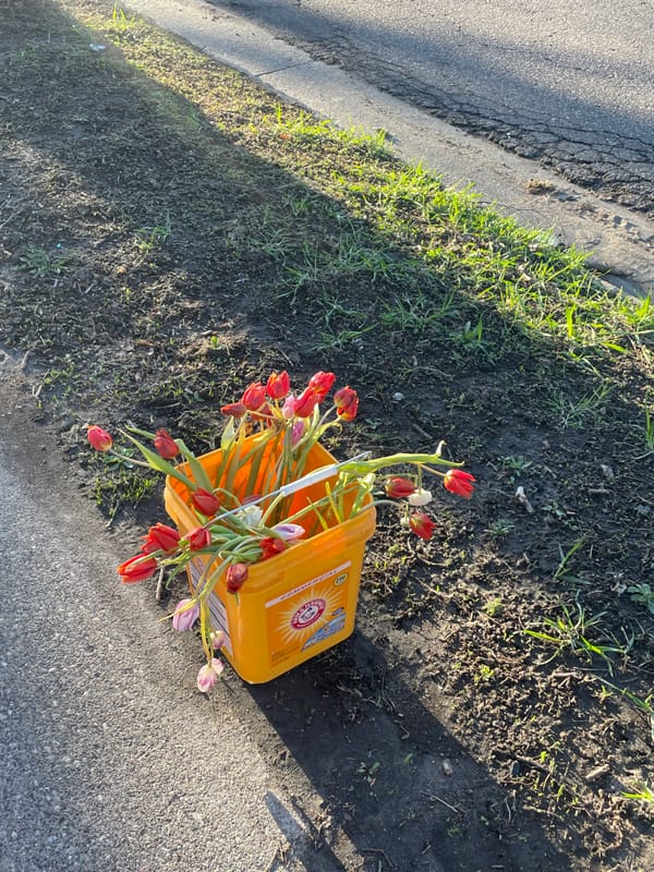 the best way to enjoy your week is to planet